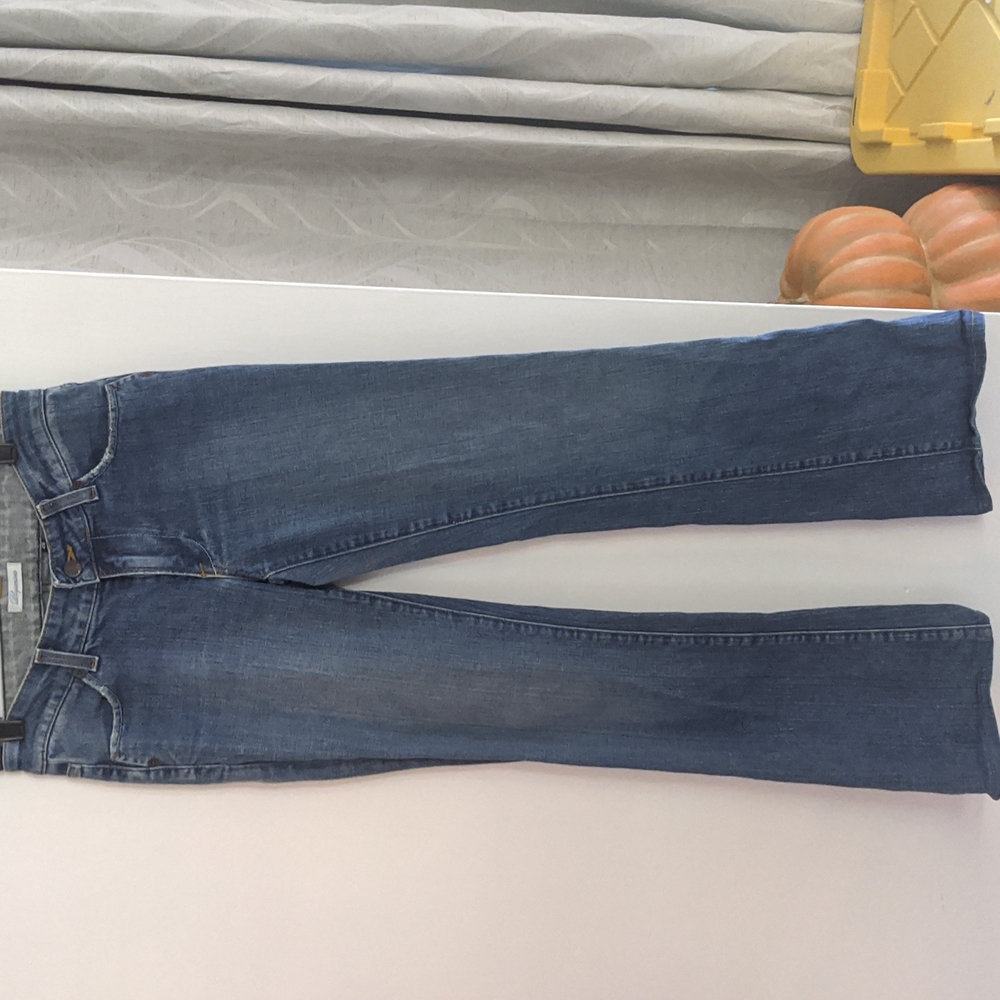 Blujeanious, size 26, jeans